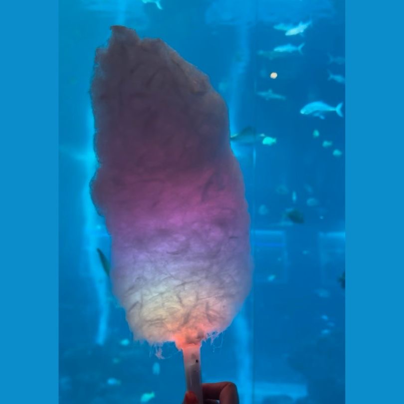 Permen kapas dengan lampu di S.E.A Aquarium di Singapura adalah produk unggulan.