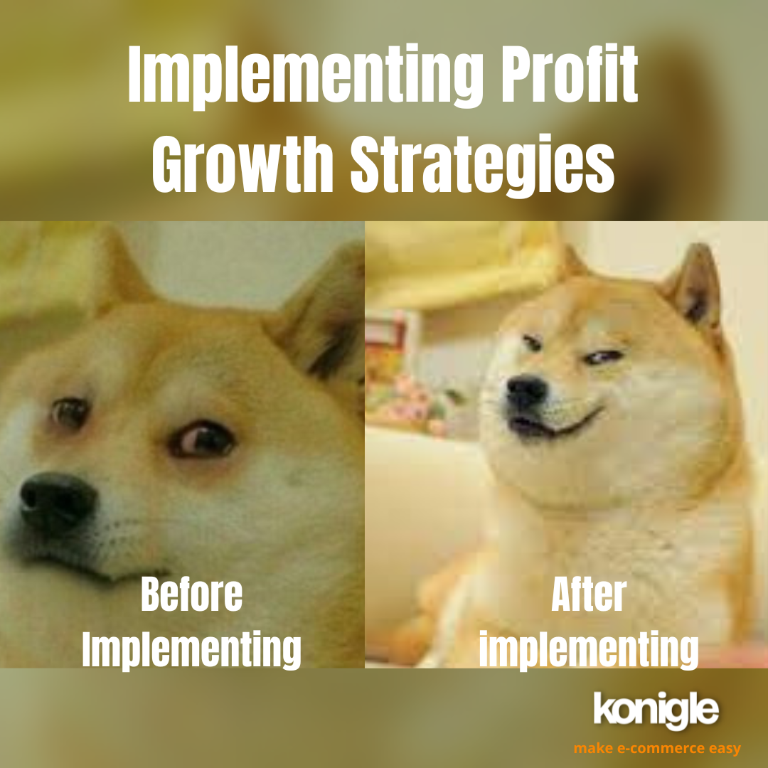 Profit Growth Strategies