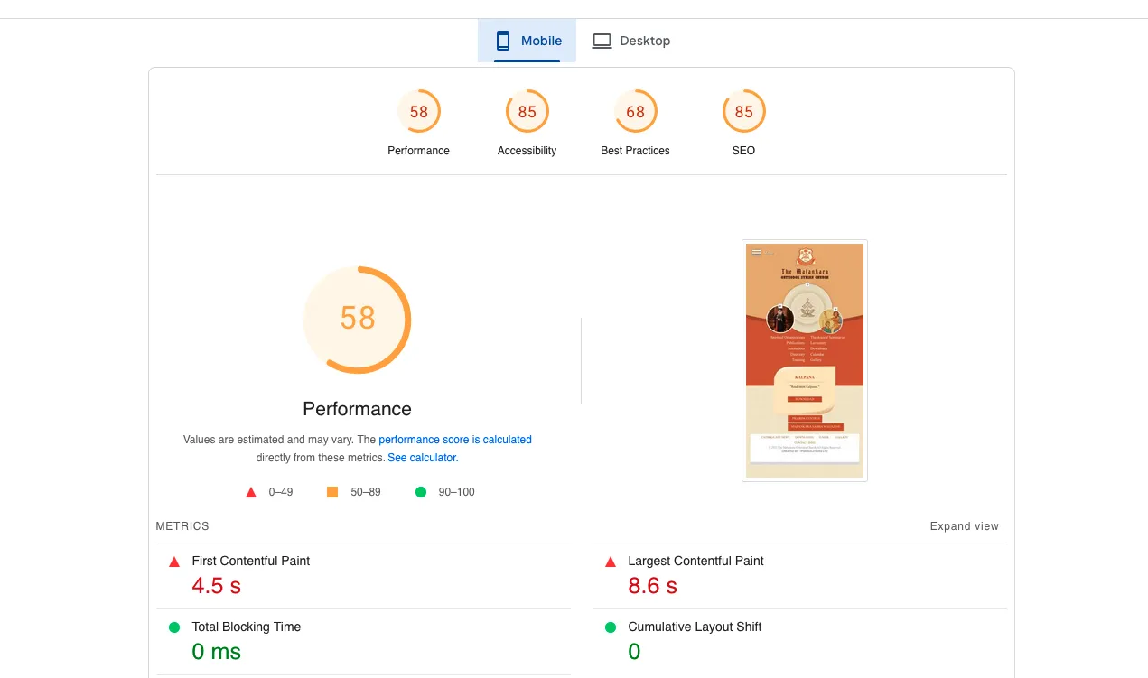 pagespeed insights data